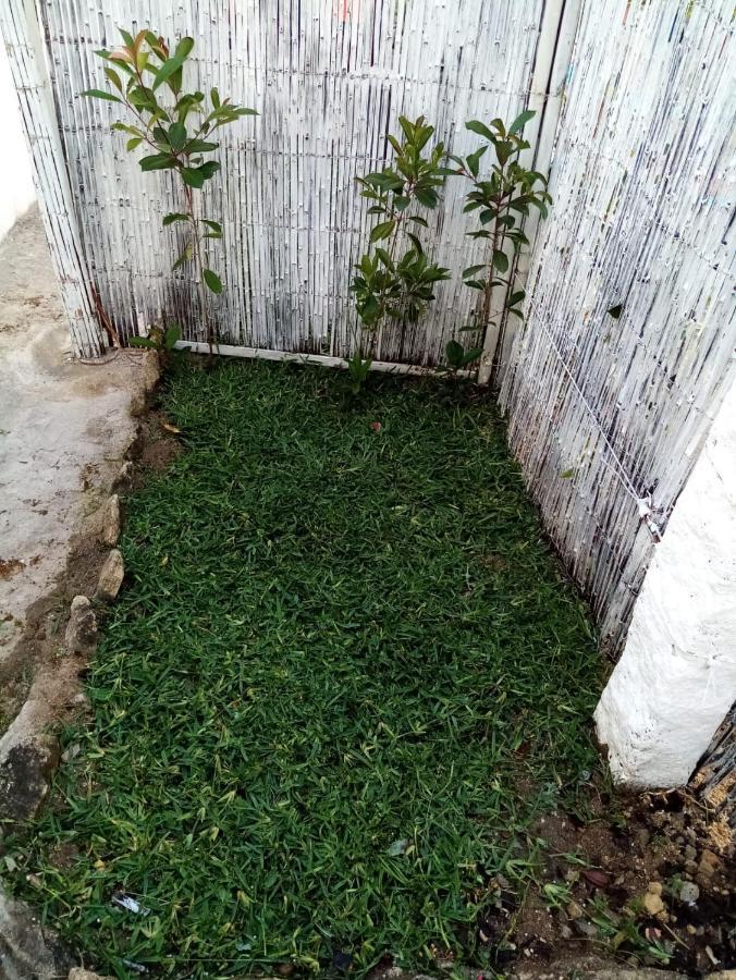 Private House Only For You 145 - 8Min Historiccenter Βίλα Νόβα ντε Γκάια Εξωτερικό φωτογραφία